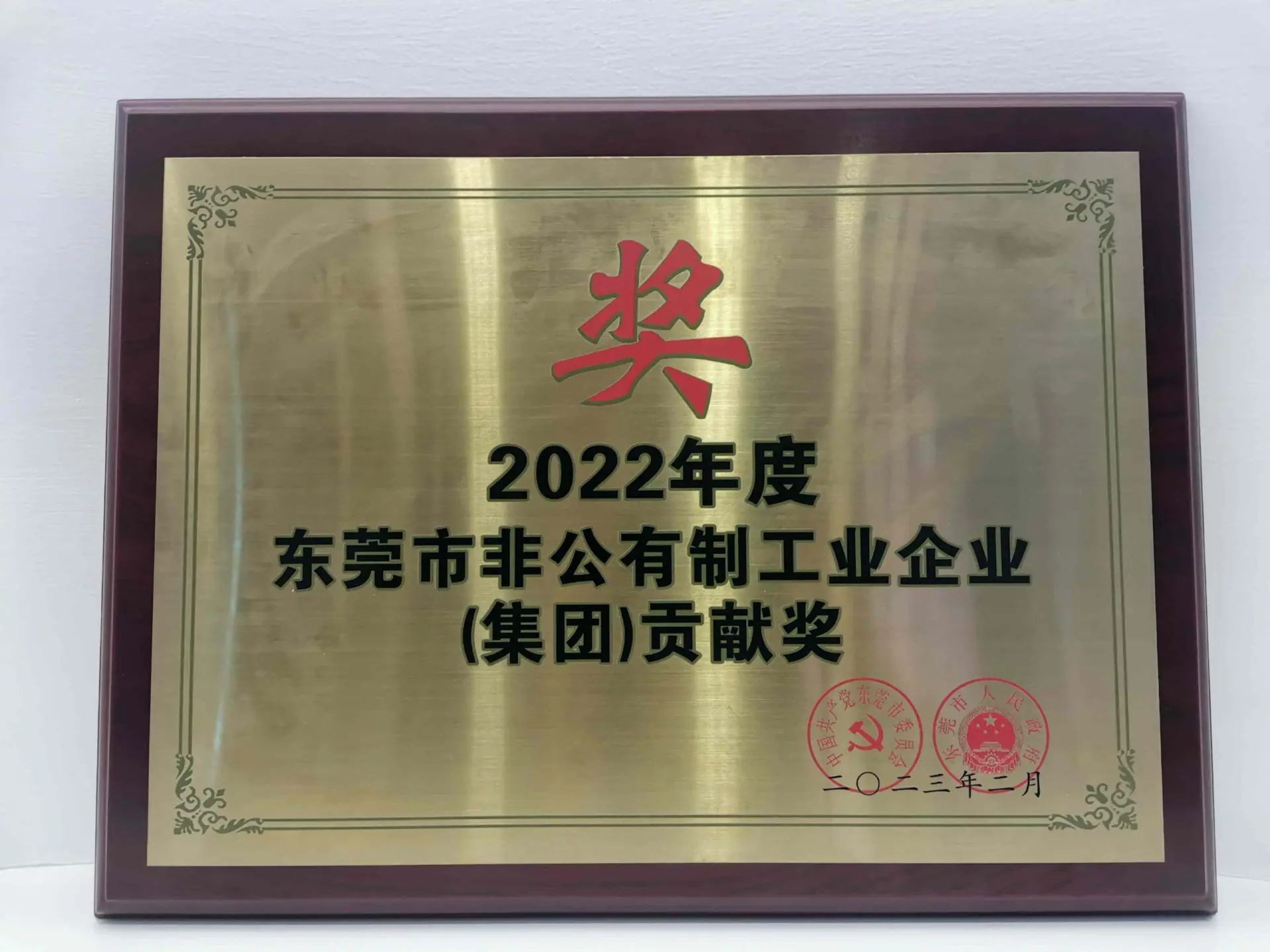 2022-Dongguan-City-non-public-industrial-enterprises-group-contribution-award